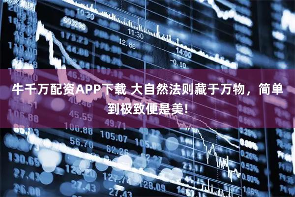 牛千万配资APP下载 大自然法则藏于万物，简单到极致便是美!