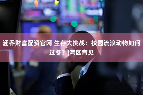 涵乔财富配资官网 生存大挑战：校园流浪动物如何过冬？|湾区育见