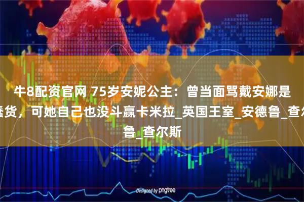 牛8配资官网 75岁安妮公主：曾当面骂戴安娜是个蠢货，可她自己也没斗赢卡米拉_英国王室_安德鲁_查尔斯